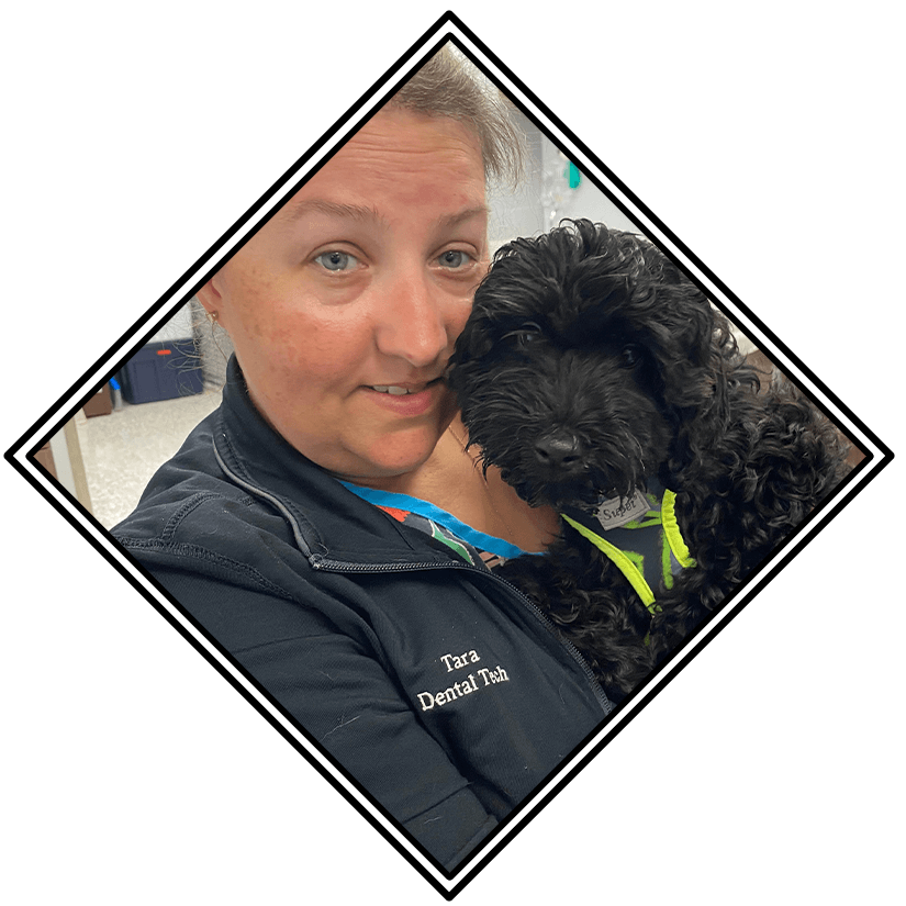 Dental Technician Posing With Small Labradoodle