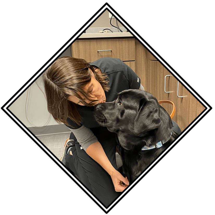 Staff Member Kissing Dog On Nose